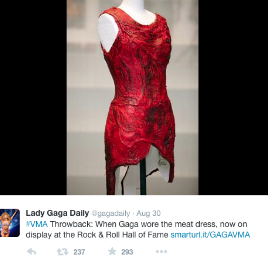 Lady Gaga Meat Dress | Marie Claire UK