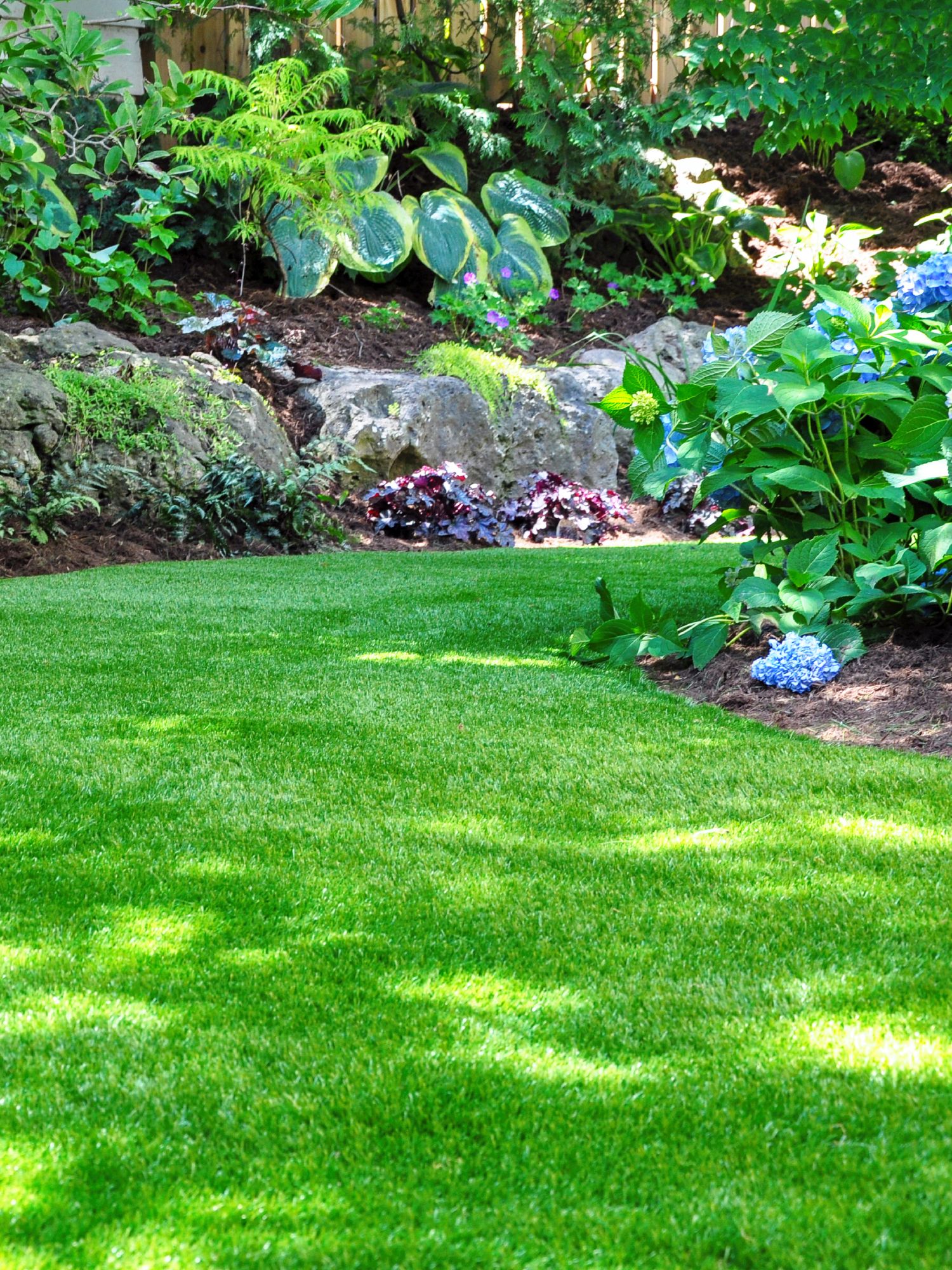 Shady lawn with landscaping