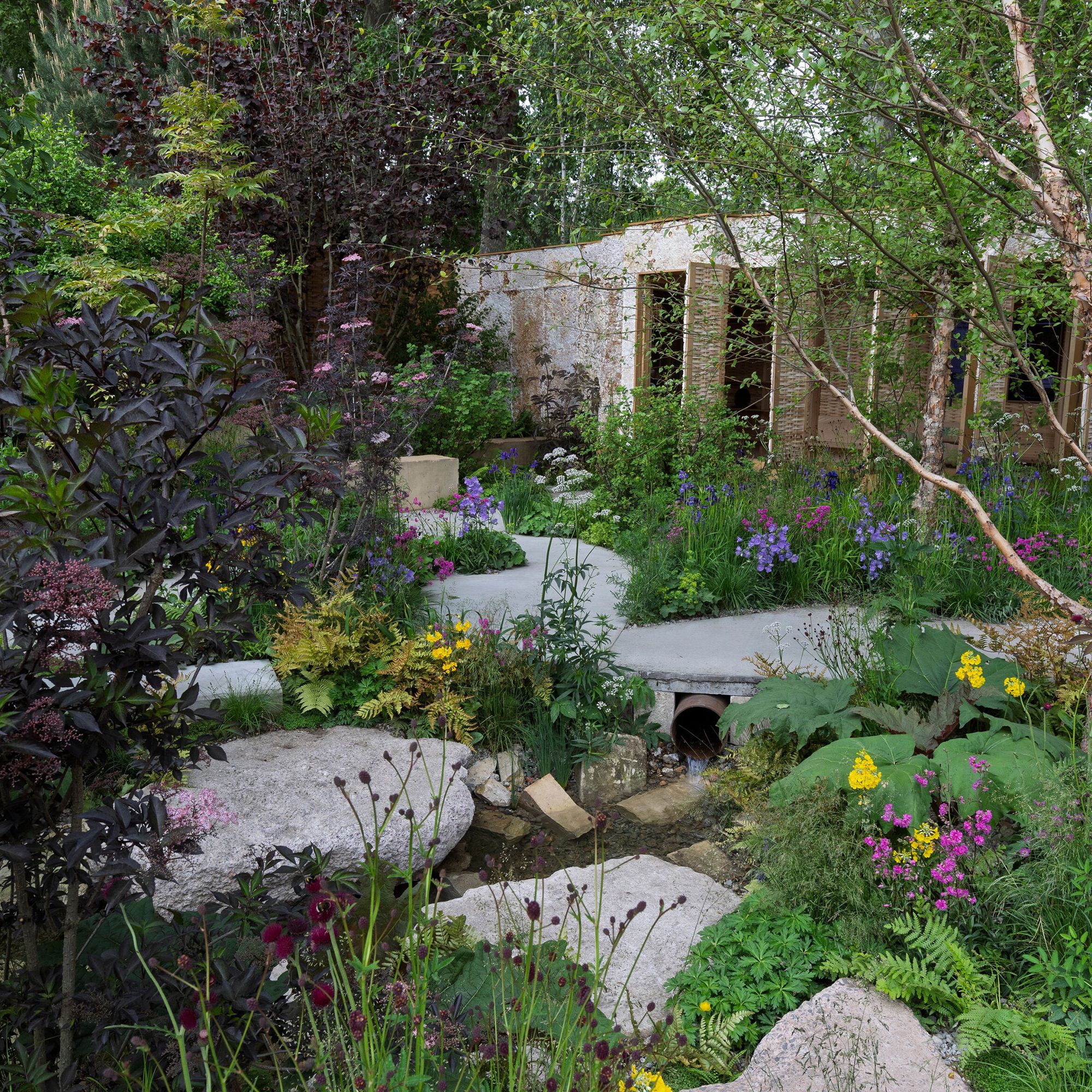 At Chelsea Flower Show 2025, use of architectural fungi exhibits a