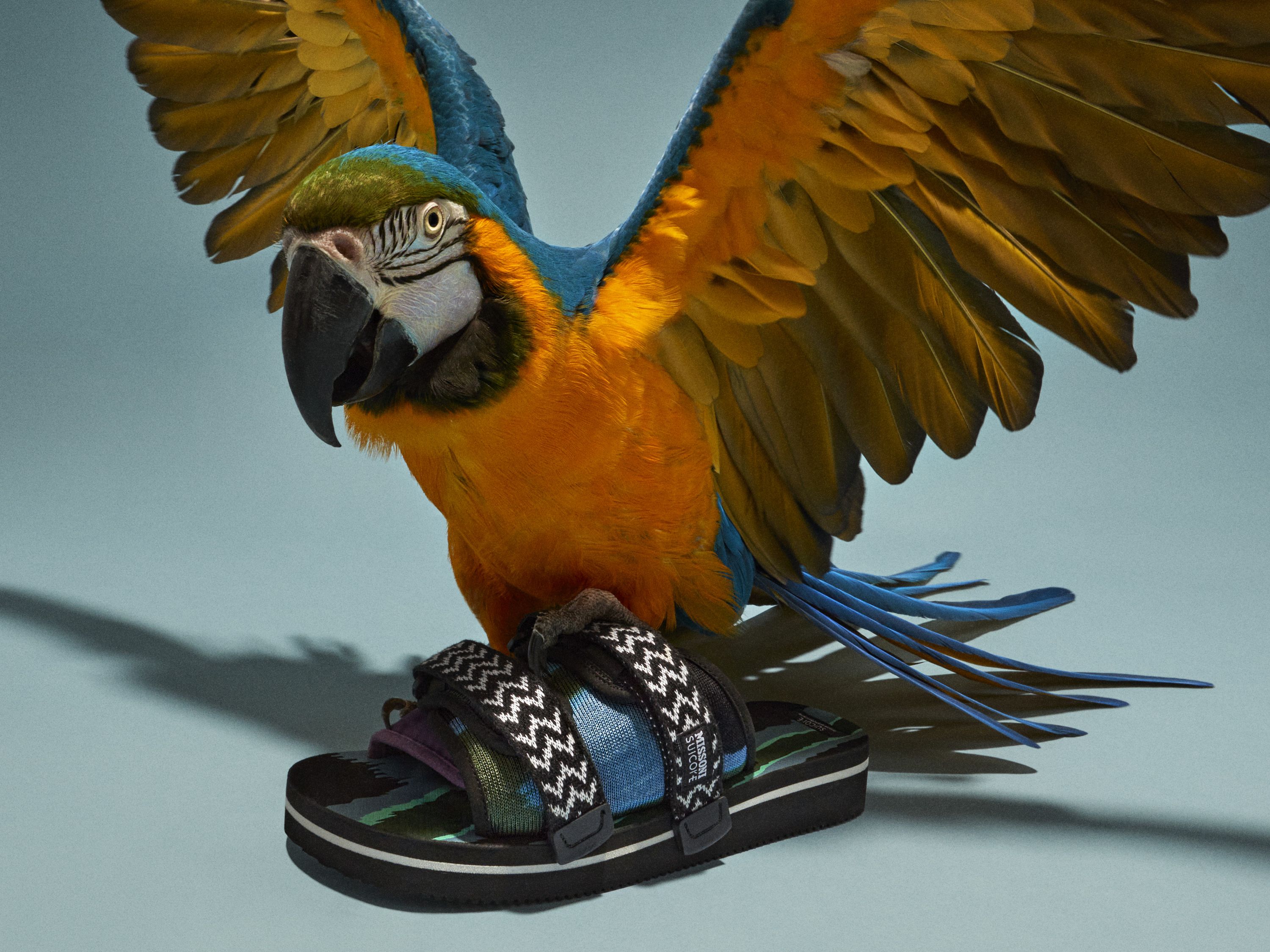 Missoni collaborate with Suicoke on colourful summer sandals
