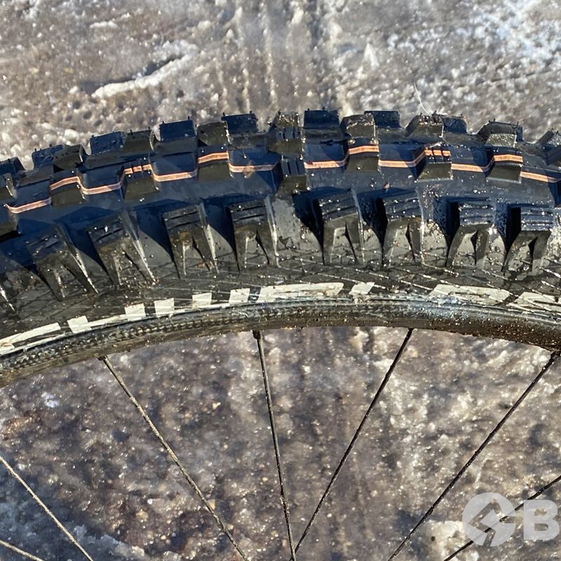Schwalbe Magic Mary Super Trail tire review | Bike Perfect