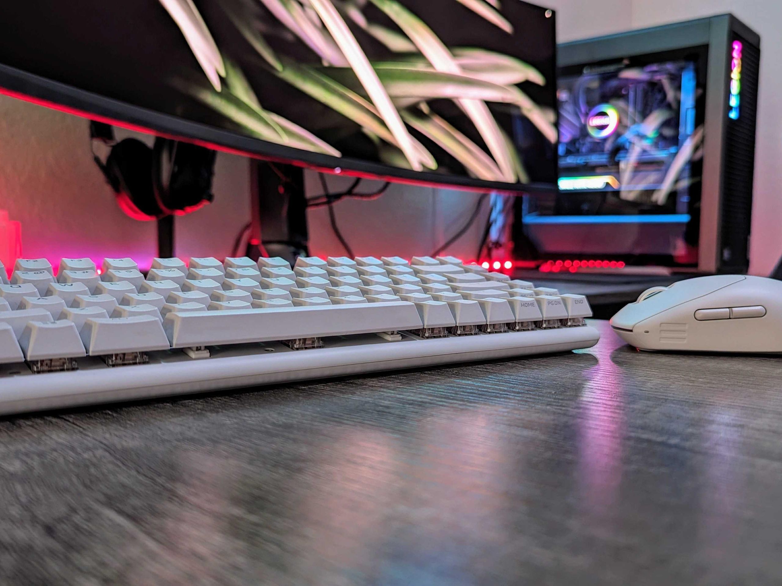 PgdyANTv38cWm8RmiuTrgj.jpg