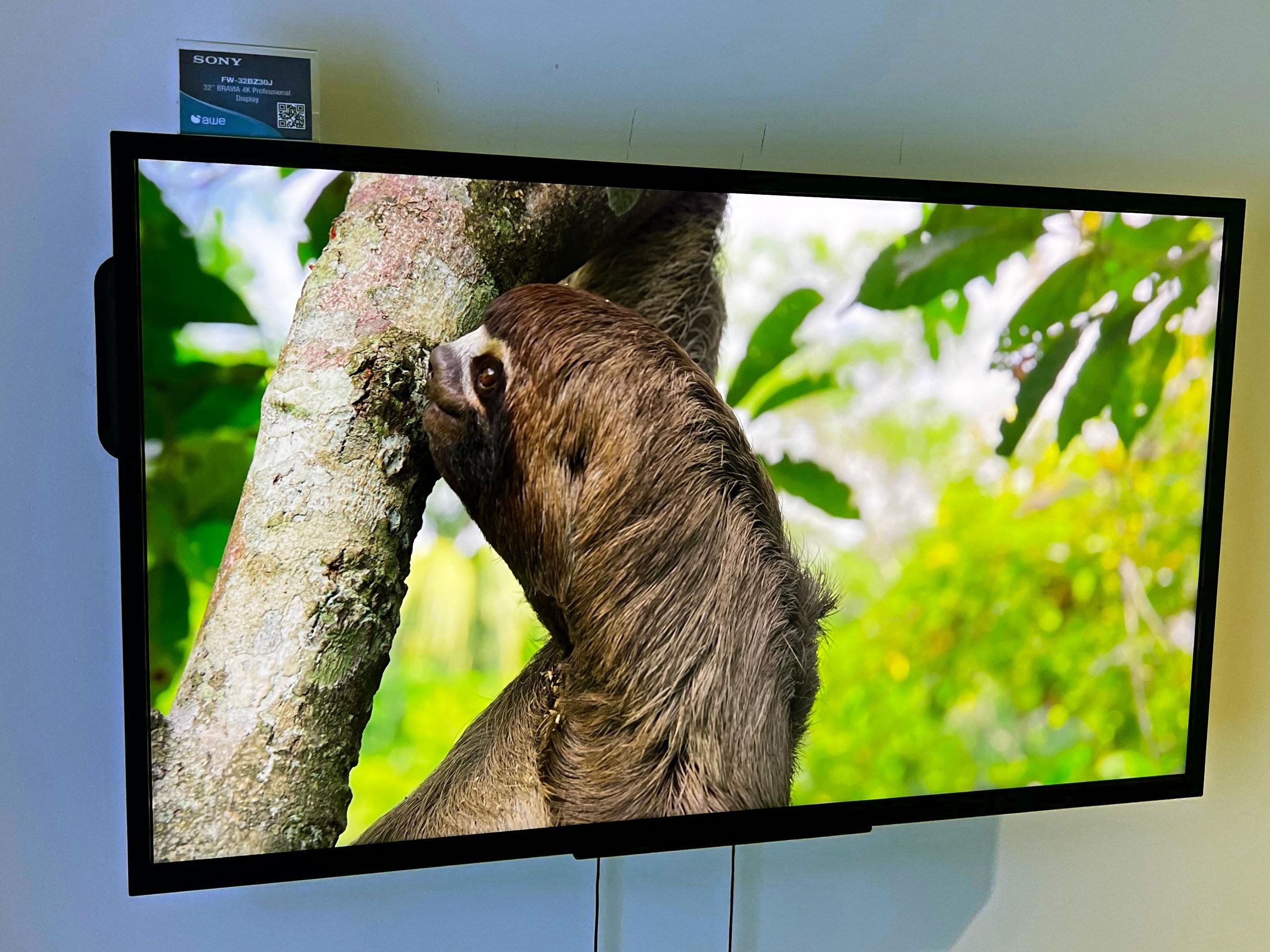 I loved Sony's 32-inch 4K TV, and it's a crime more people don't