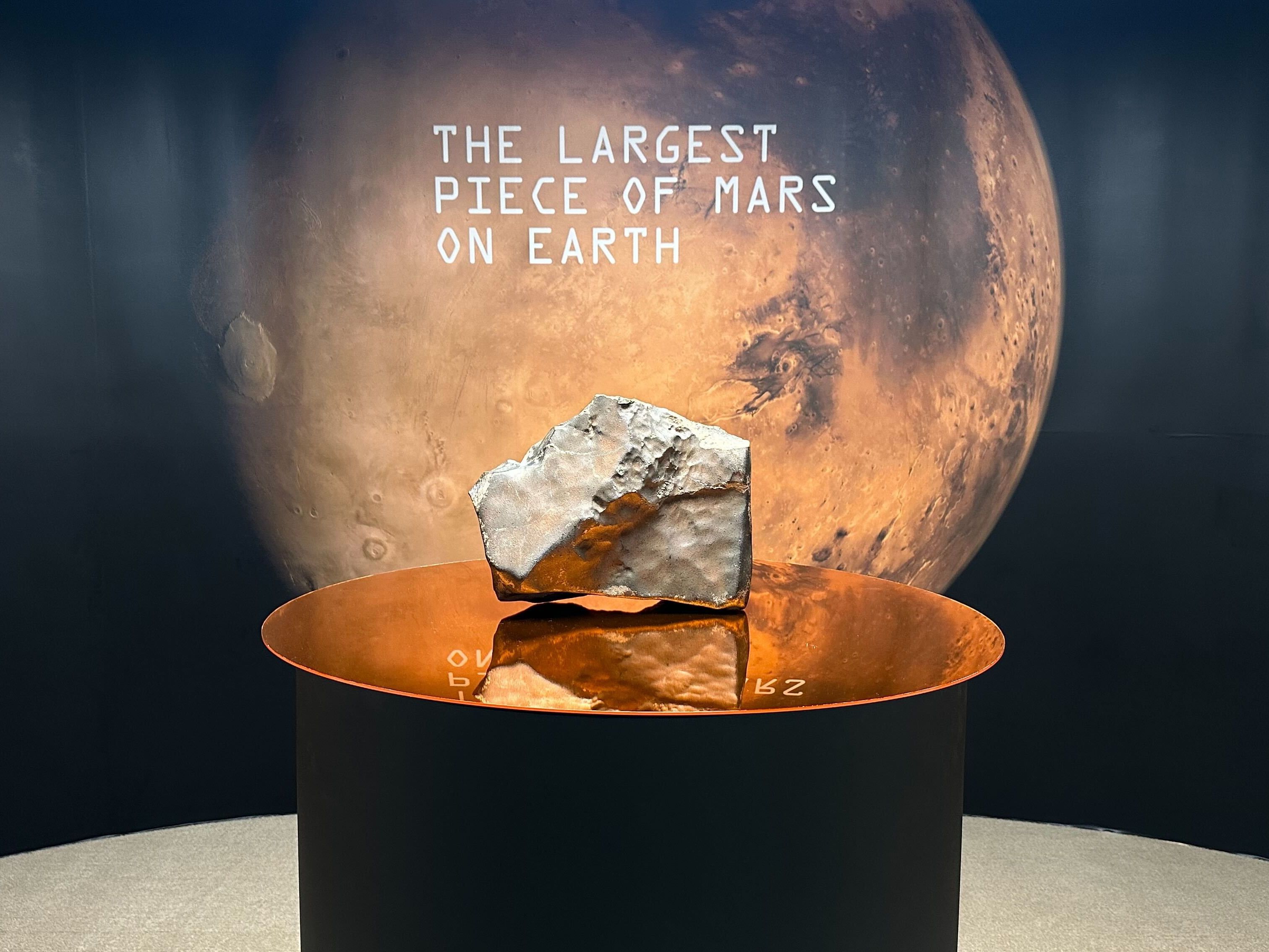 The largest Mars meteorite on Earth has sold for $5.3