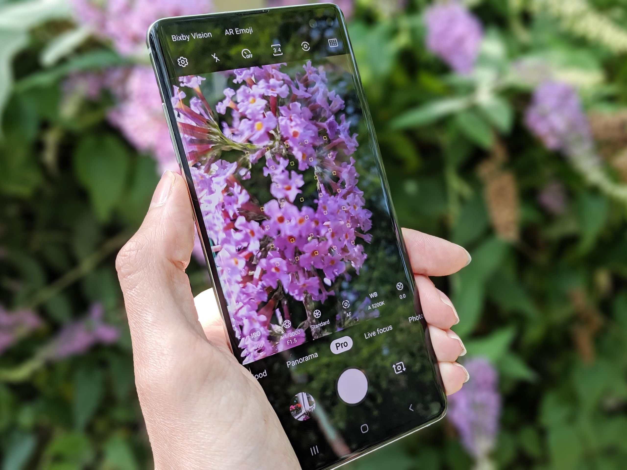 Honor 20 Pro camera review | Digital Camera World