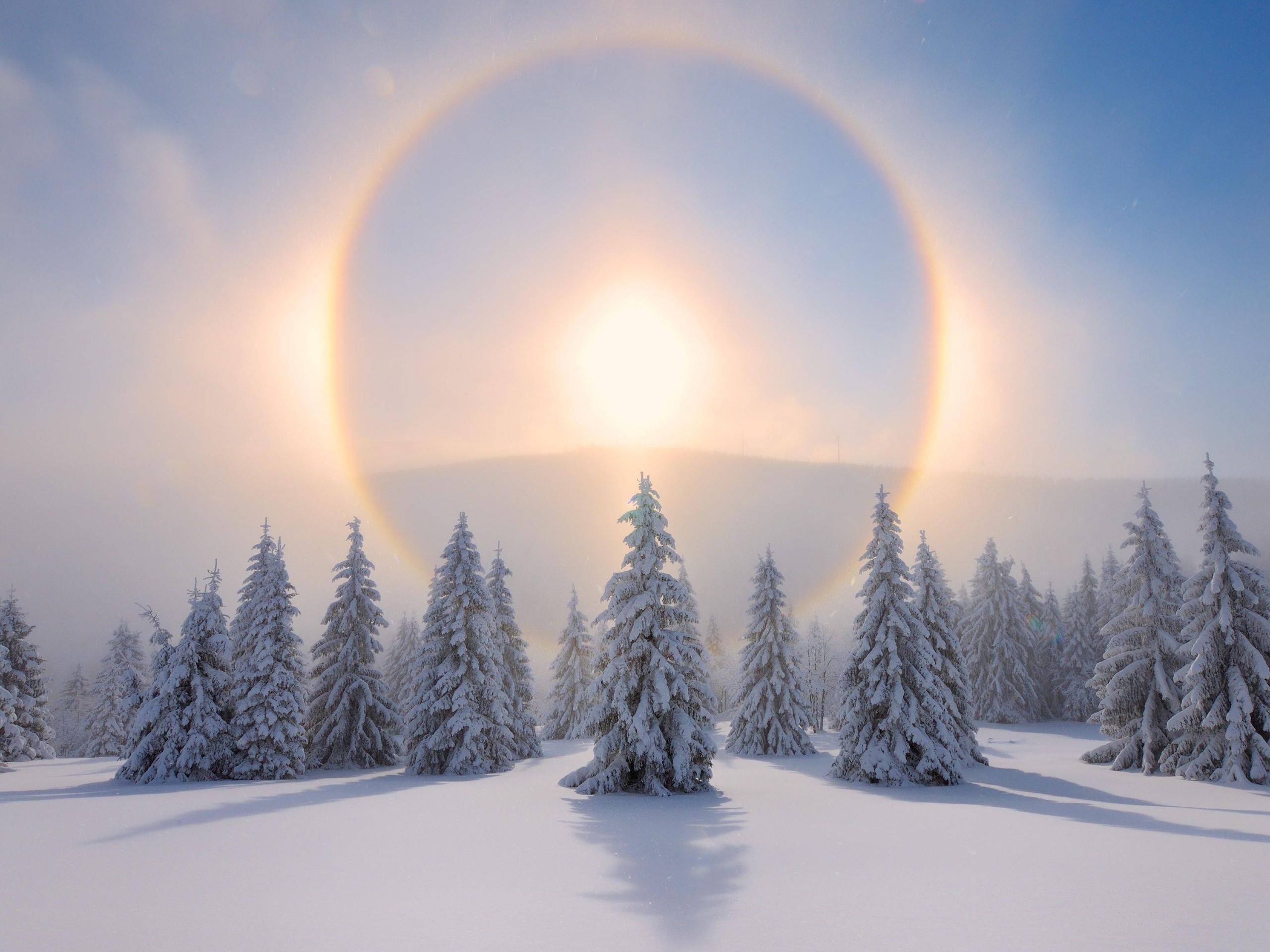 Sun Stands Still Solstice
