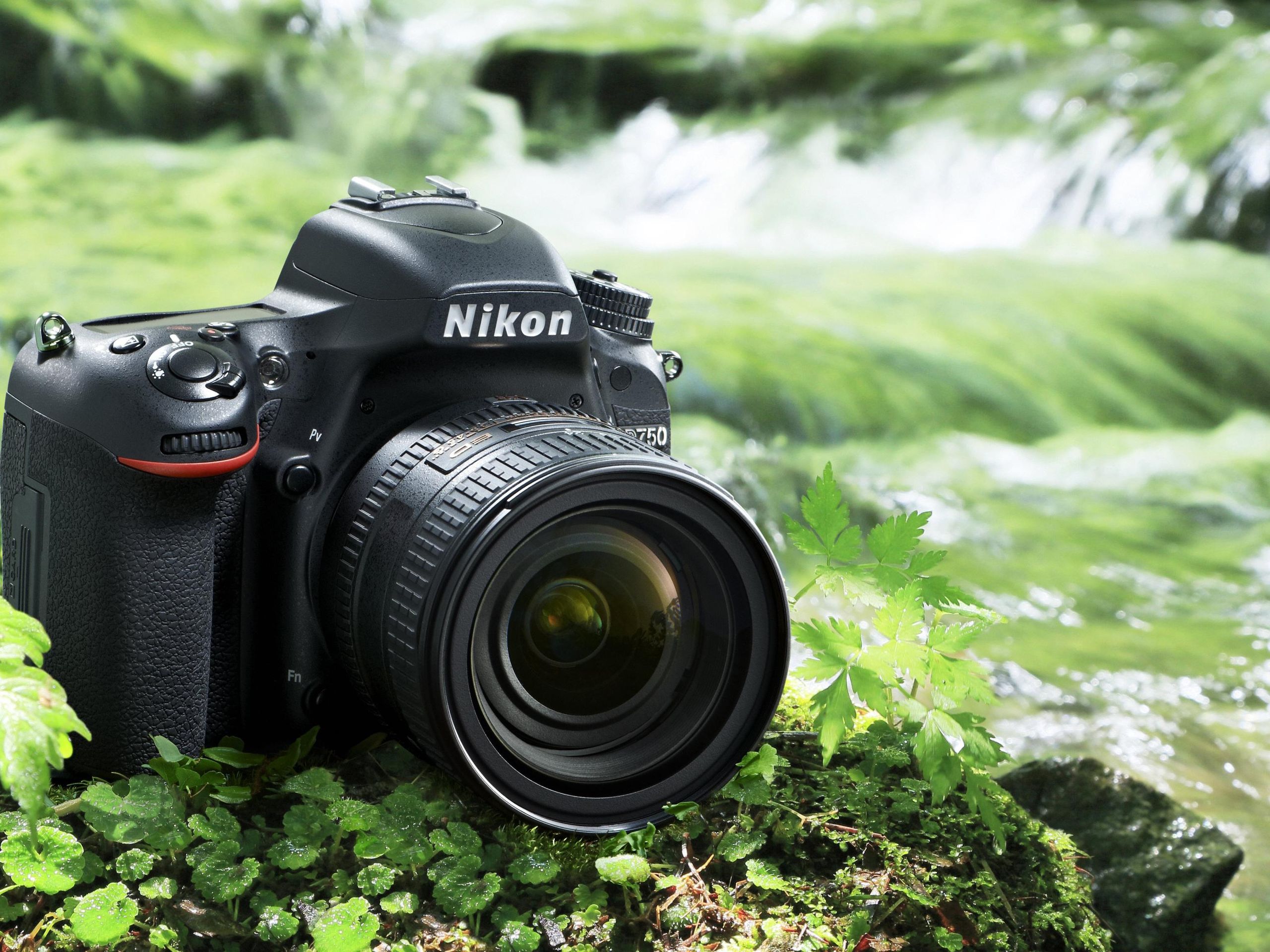 ニコン Nikon D750 ボディ #609-050-0925 ニコン Nikon D750 ボディ #609-050-0925 Amazon.com : Nikon