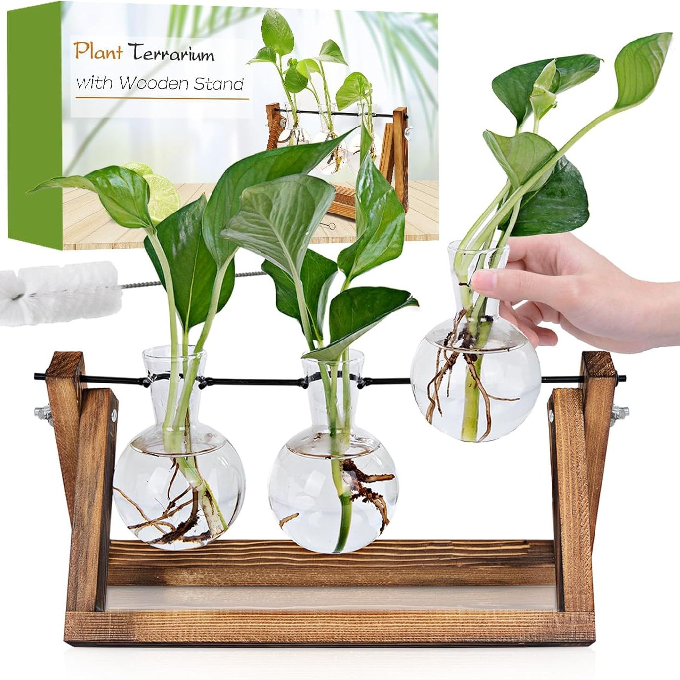 Renmxj, Renmxj Plant Propagation Station, Plant Terrarium With Wooden Stand, Unique Gardening Birthday Gifts for Women Plants Lovers, Home Office Garden Decor Planter - 3 Bulb Glass Vases