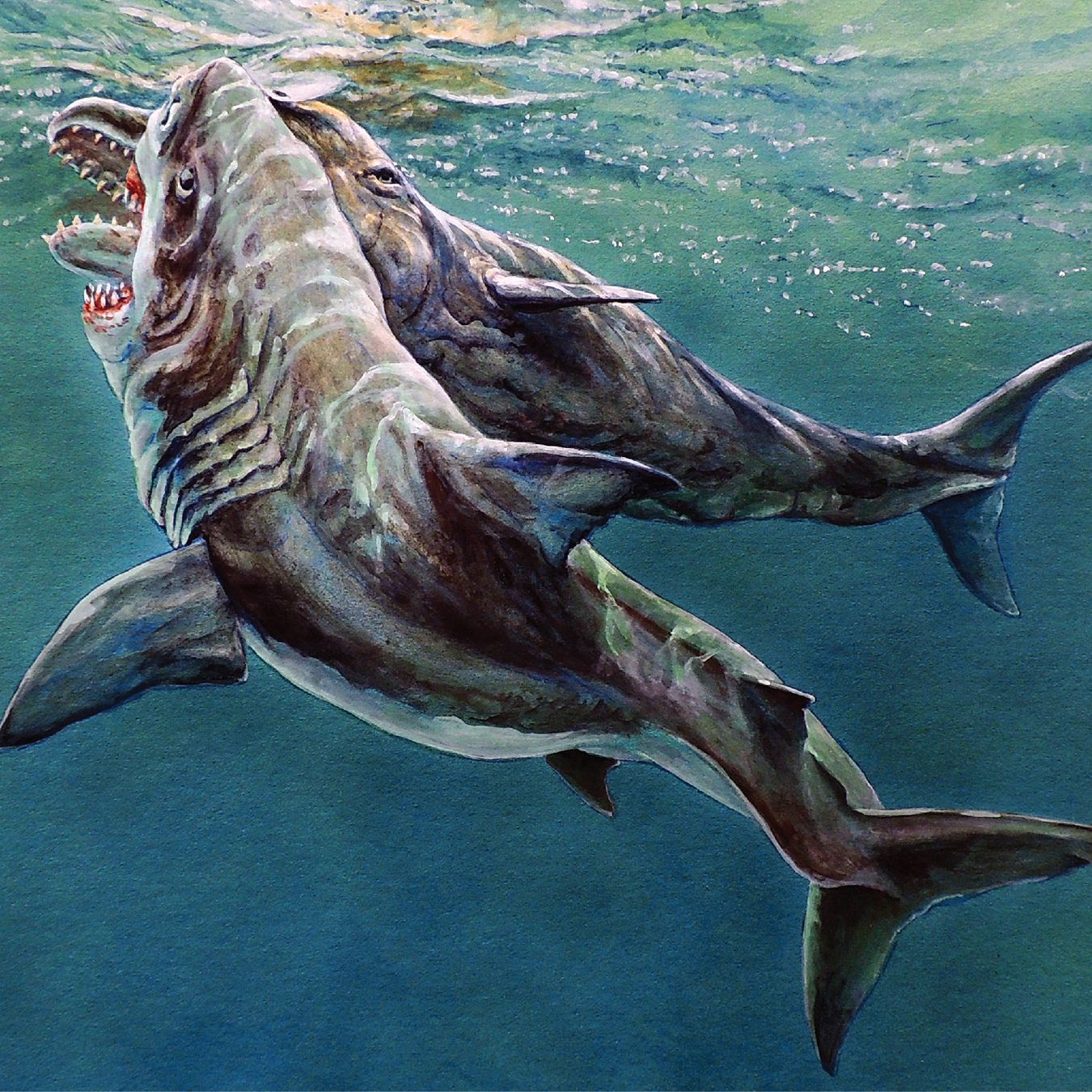 Megalodon's mortal attack on sperm whale revealed in ancient tooth