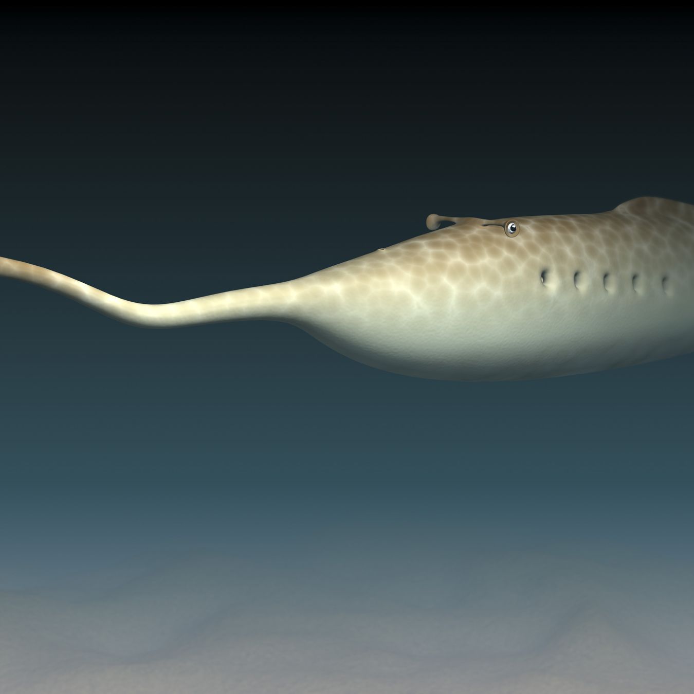 The Mysterious 'Tully Monster' Just Got More Mysterious | Live Science