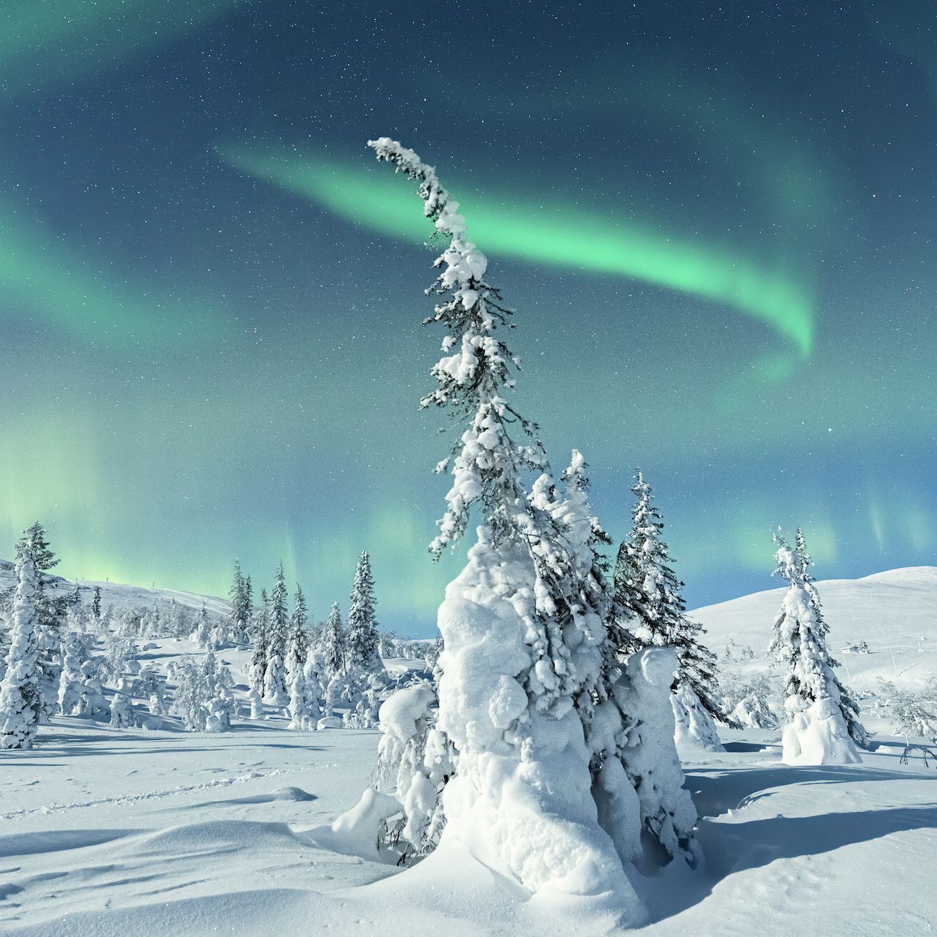 What Do You Know About Cold Places?