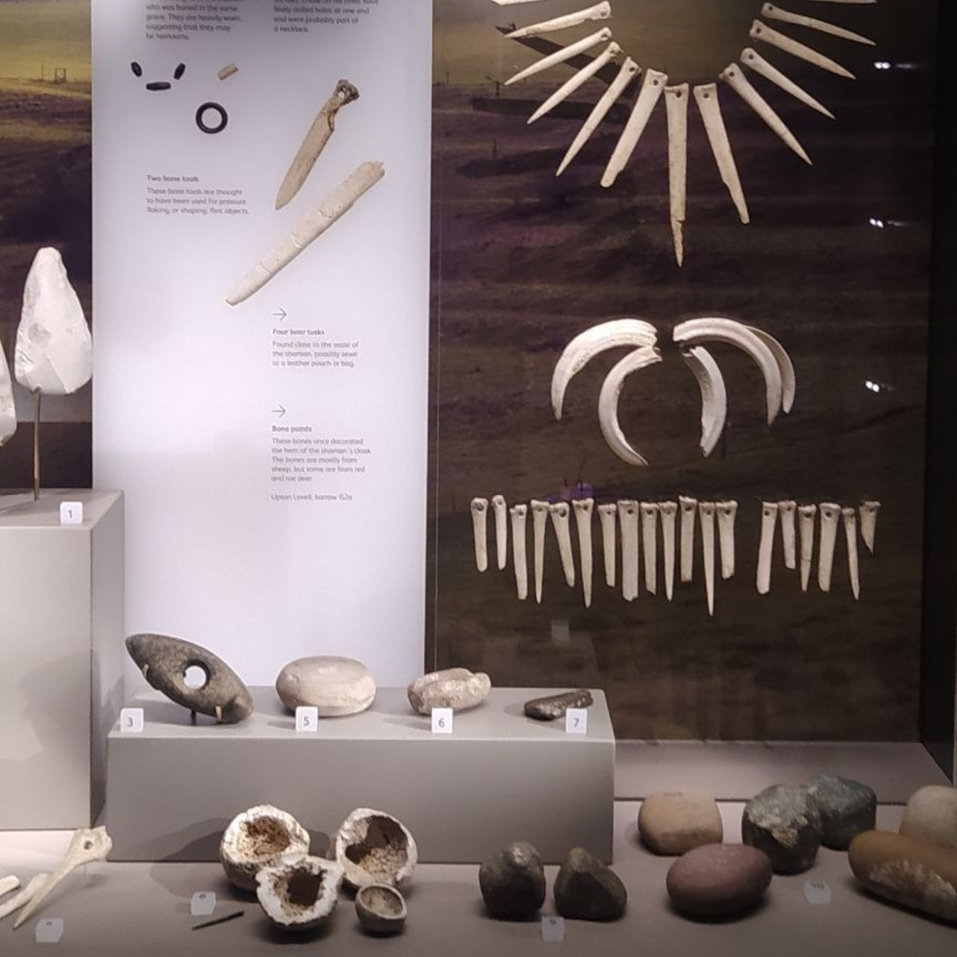 Ancient DNA reveals shaman buried near Stonehenge was female