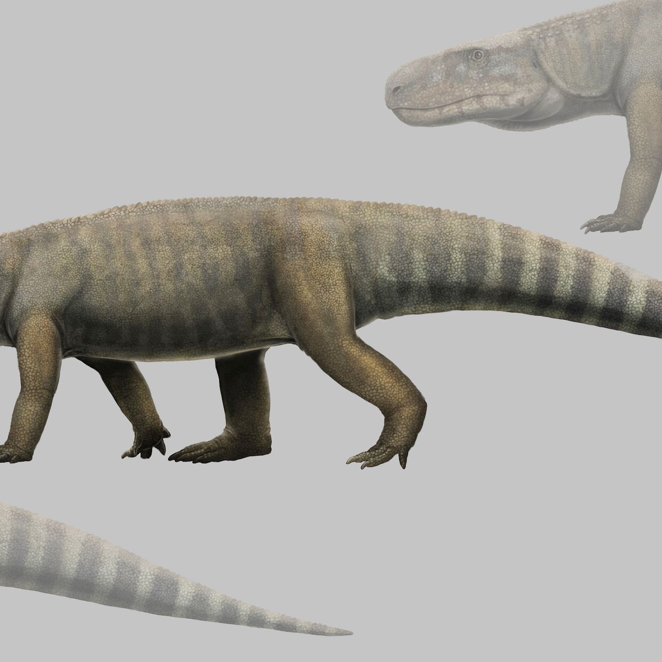 KOSKETUS : Humaani kauneus アアルト KOSKETUS : Humaani kauneus アアルト KOSKETUS : Humaani kauneus