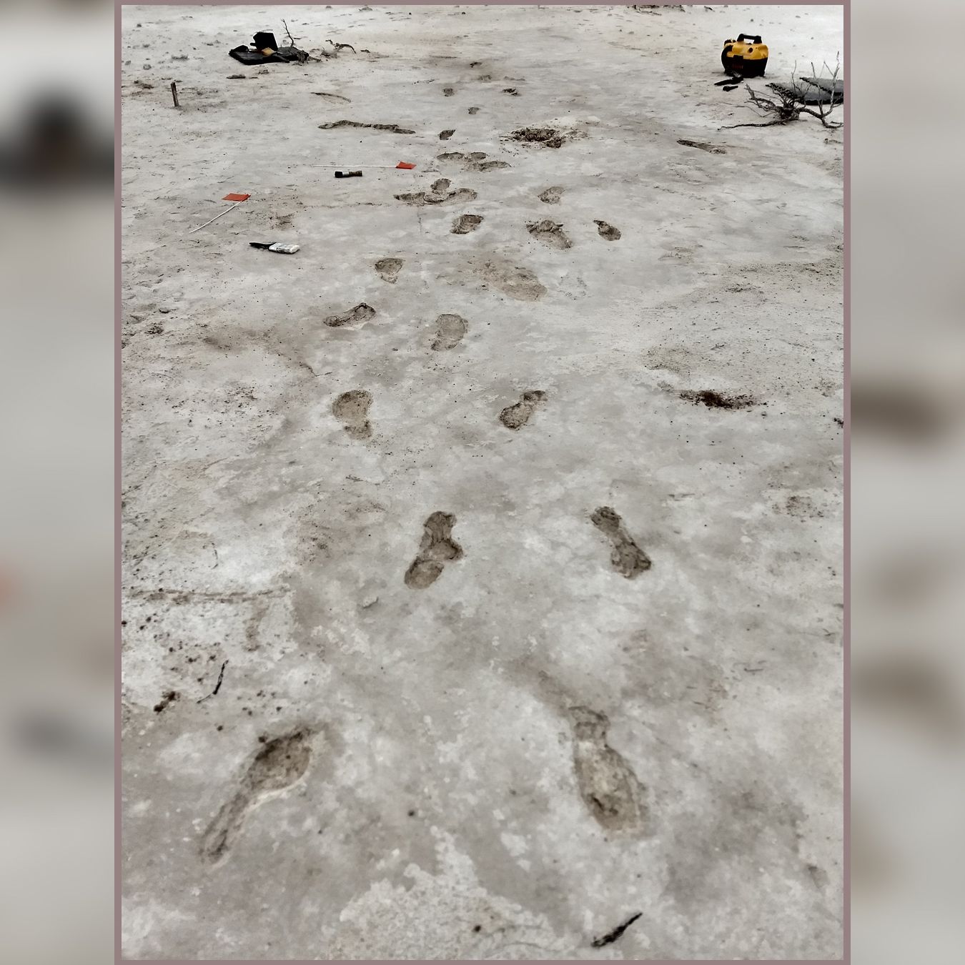 ちび／FOOTPRINTS 10,000-year-old footprints show journey of squirmy toddler and