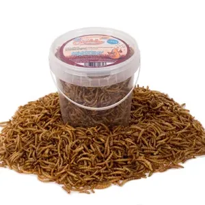 1 Litre Chubby Dried Mealworms