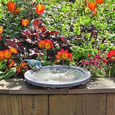 Wildlife World Aristotle Oasis Small Bird Bath &amp;amp; Drinker