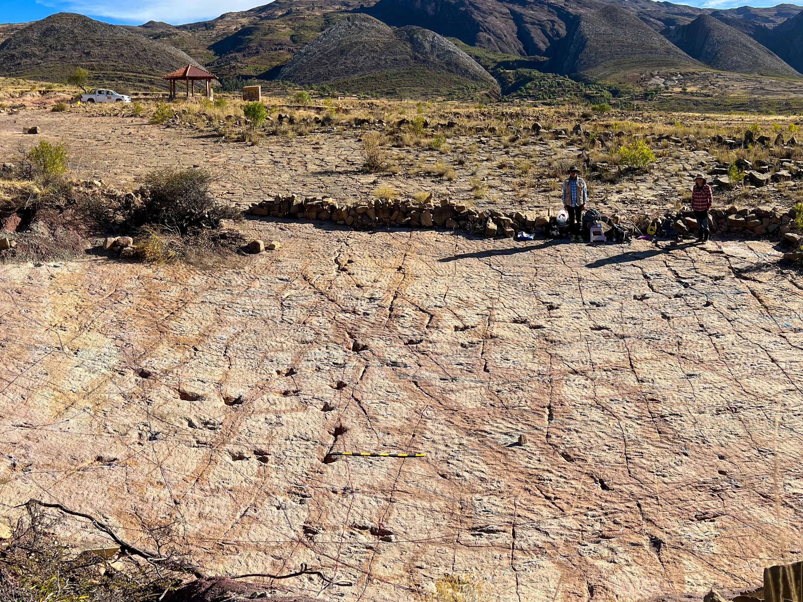 18,000 dinosaur tracks discovered along ancient Bolivian coastline 