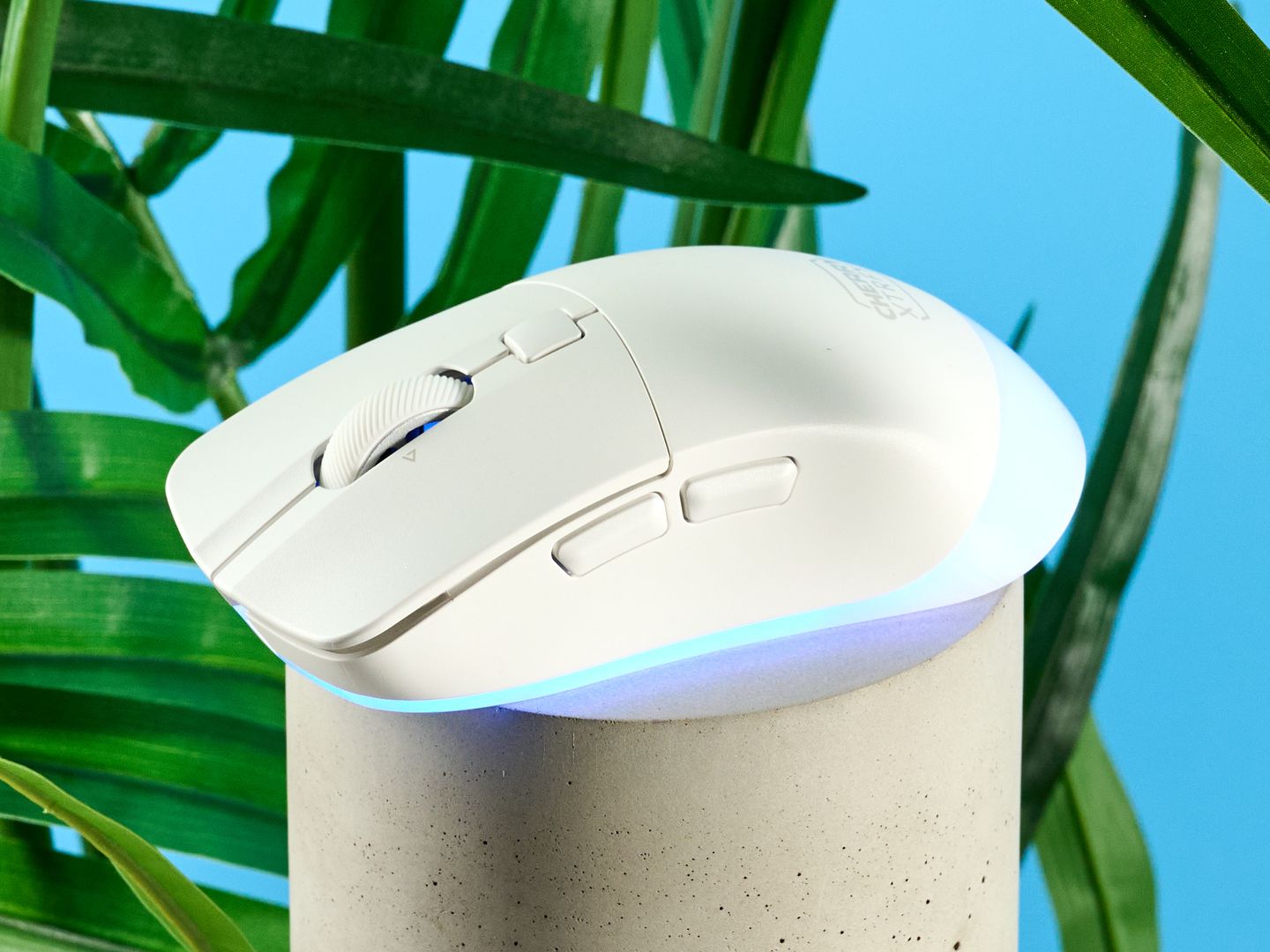 Cherry XTRFY M50 Wireless review | Tom's Guide