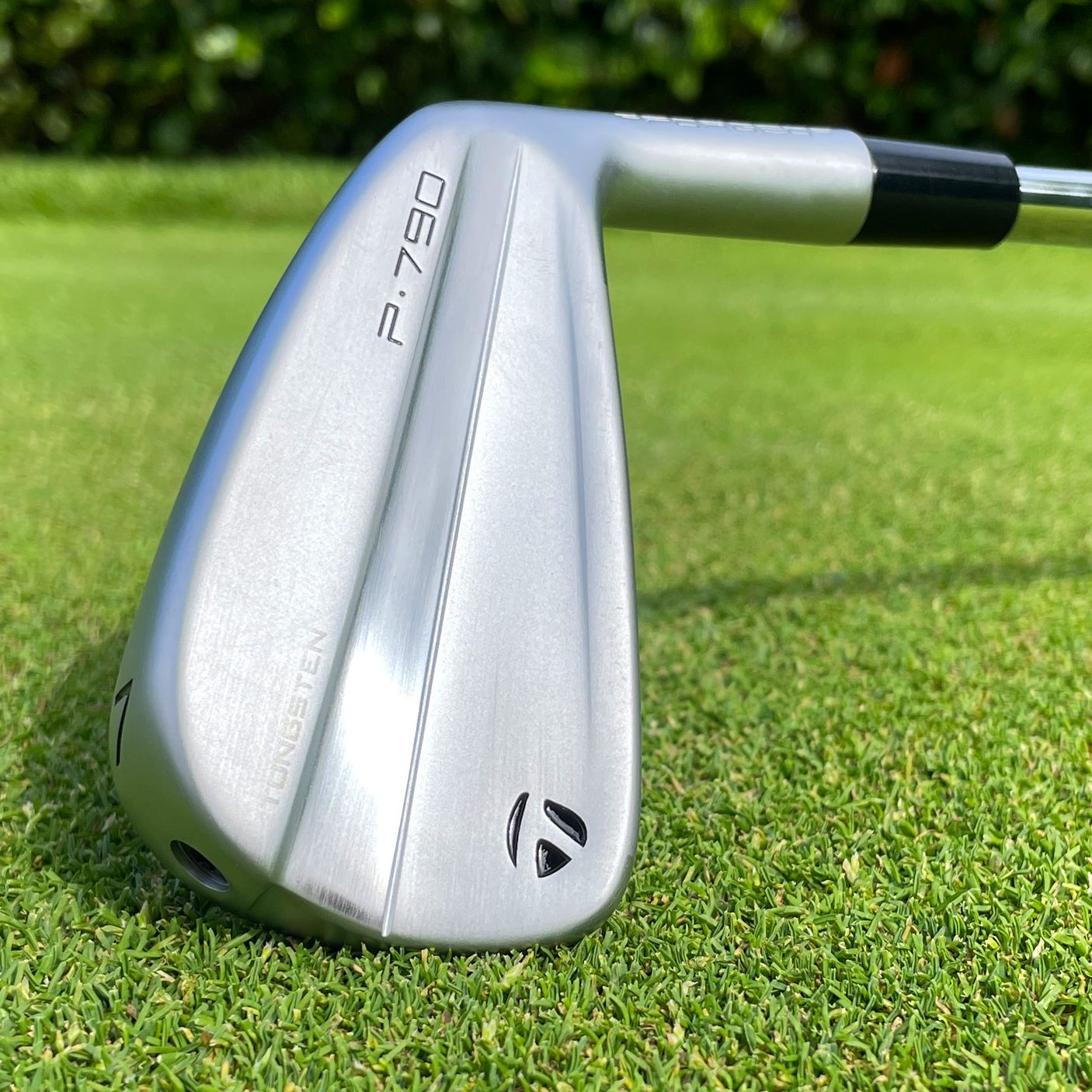 TaylorMade P790(2023) US 【AW】 TaylorMade P•790 2023 Irons w/ Graphite Shafts | PGA TOUR Superstore