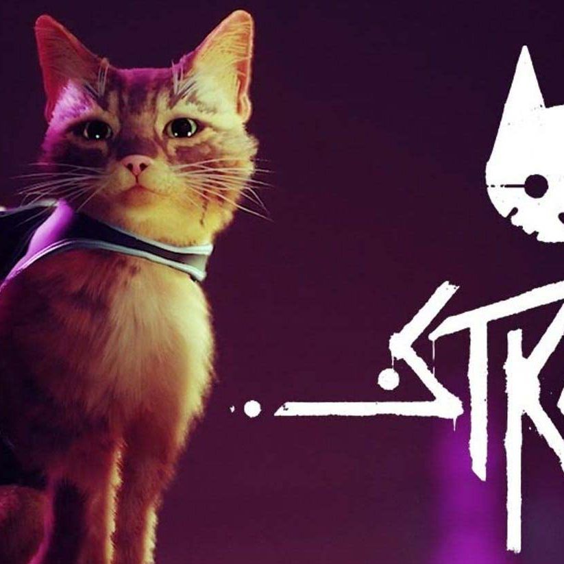 Stray review: Explore a forgotten City as the cutest cat | Laptop Mag