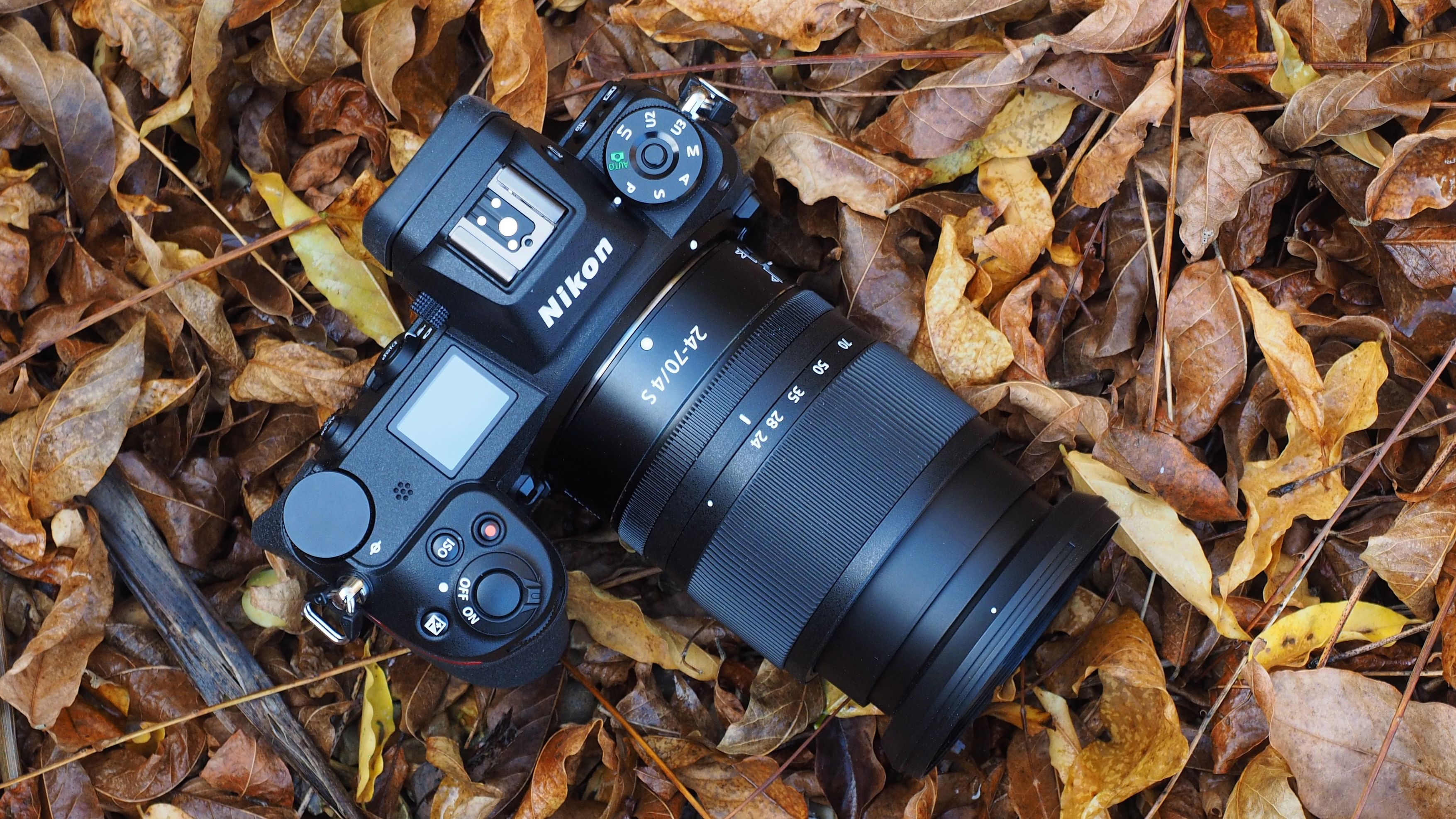 Nikon Z6 | Digital Camera World