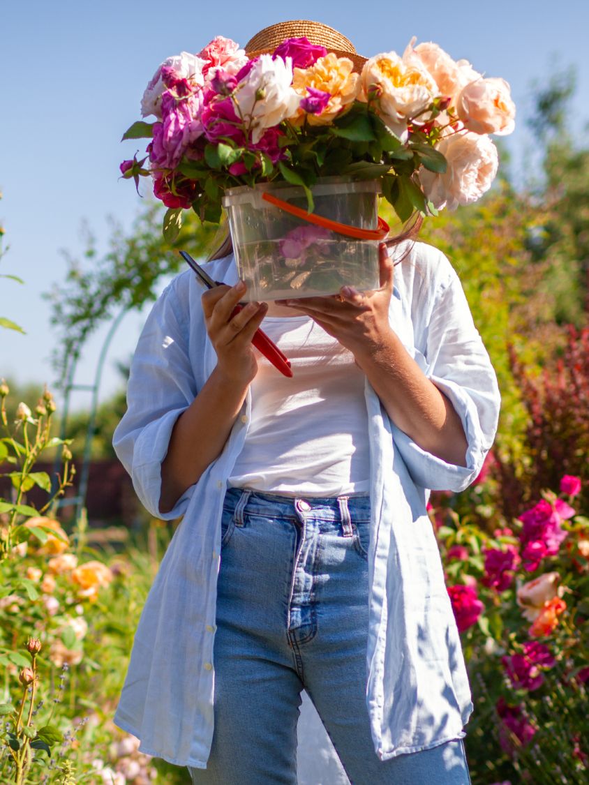 woman holding a bucket of cut roses in a garden