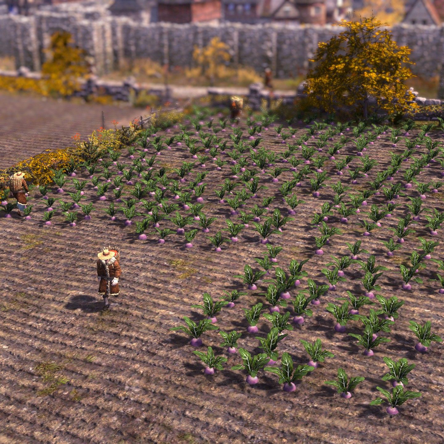 Farthest Frontier crop rotation guide | PC Gamer
