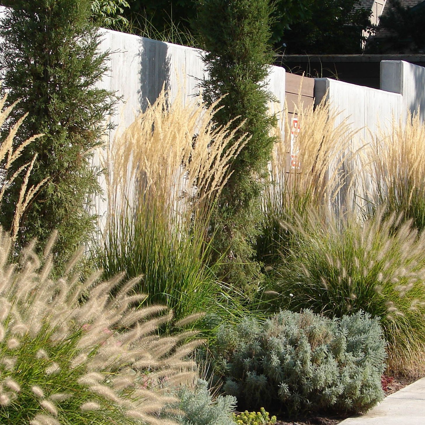 7 plants to create more privacy in your backyard | Tom's Guide