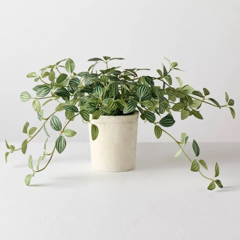 10" Small Trailing Peperomia Artificial Plant - Hearth &amp;amp; Hand&amp;trade; with Magnolia