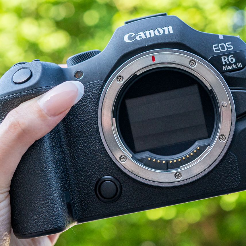 Canon EOS R6 III review: A wildlife wonder | Live Science