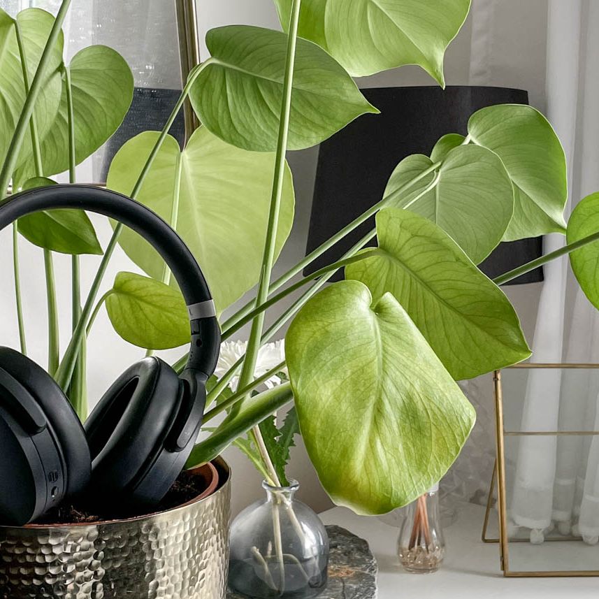 Sennheiser HD 450SE review | Laptop Mag Sennheiser HD 450SE review | Laptop Mag