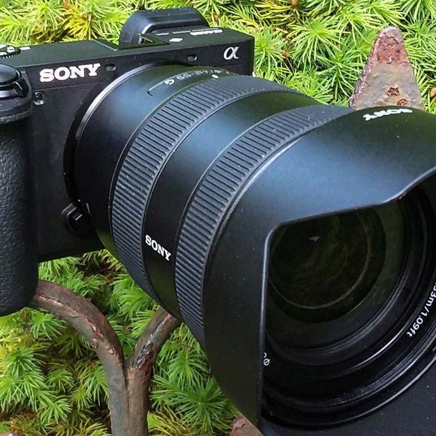 Sony α6600 
E PZ 16-50mm F3.5-5.6 OSS Amazon.com : Sony a6600 Mirrorless Camera ILCE6600/B, 64GB