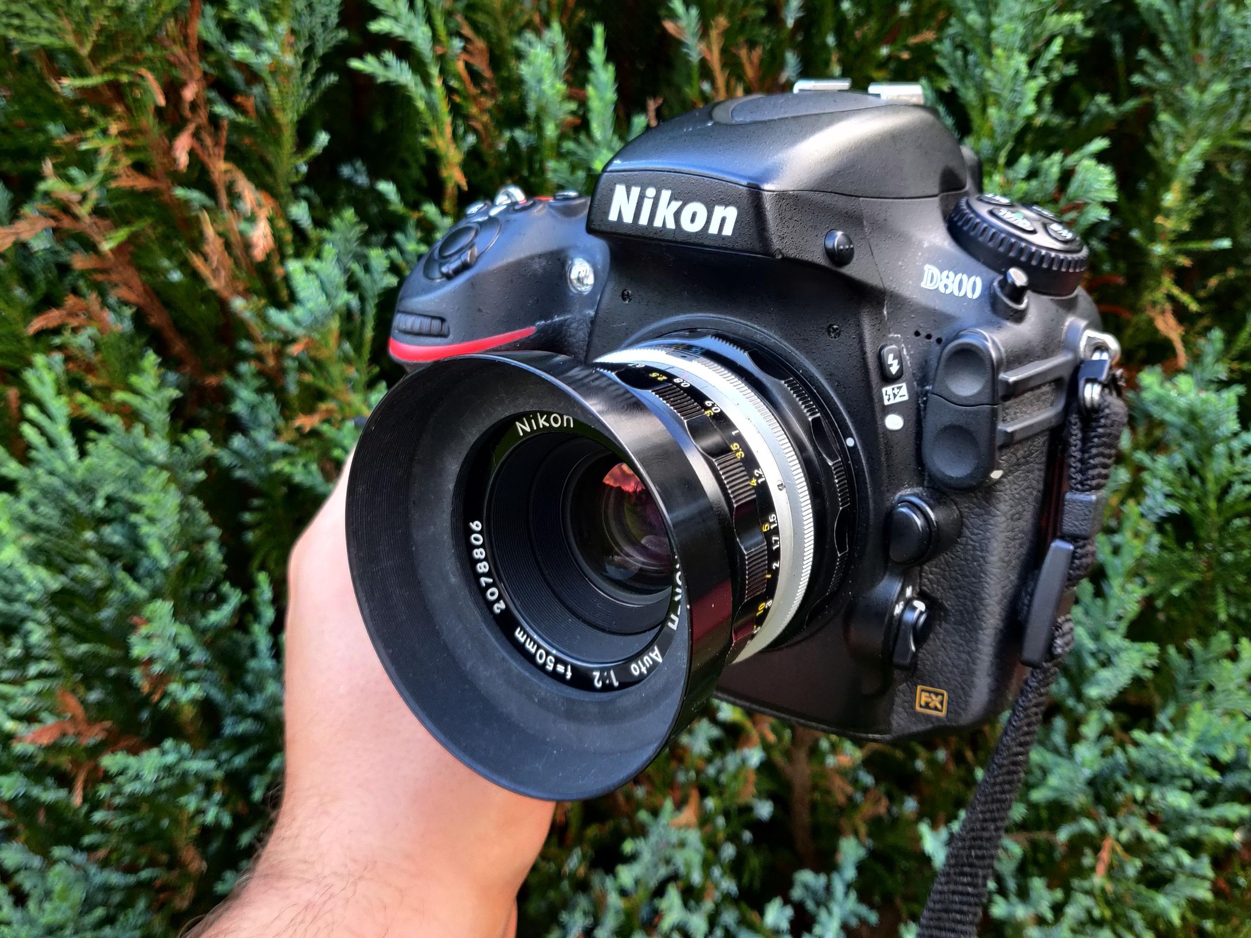 Nikon AF -600コンパクトフィルムカメラ Nikon Vintage Ef Lens I Replaced My Most Used Lens With One From