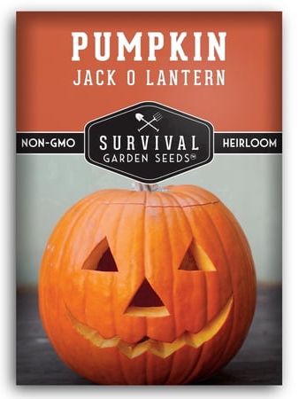 Jack-O-Lantern Pumpkin Seeds