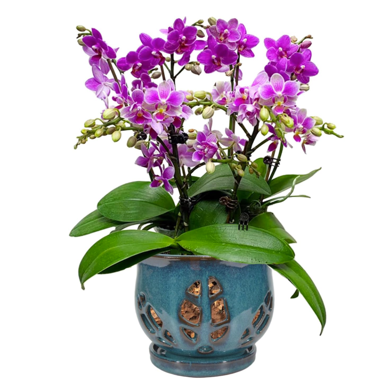 Blue glazed orchid pot
