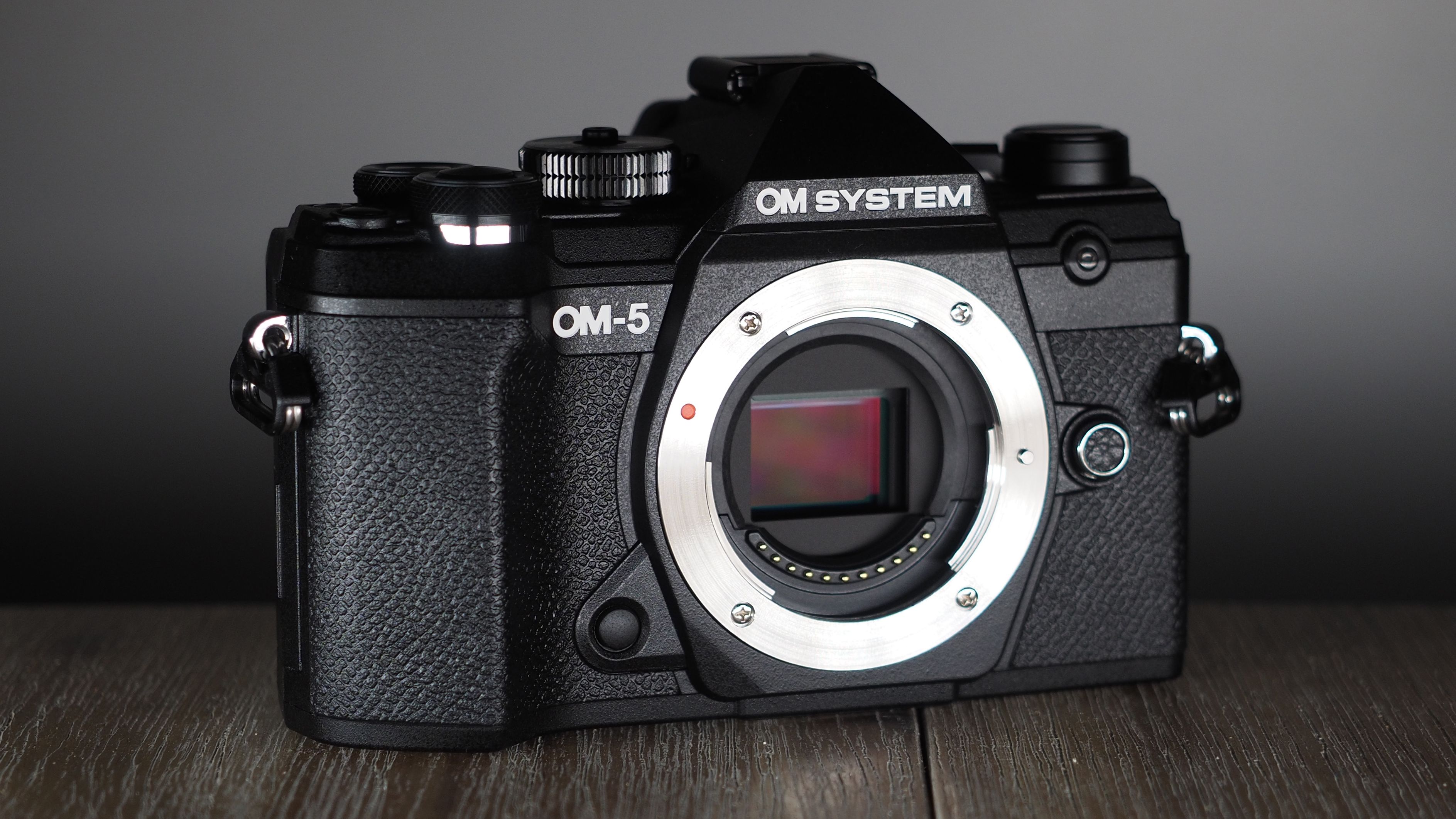 OM SYSTEM OM-5 ショット数847 ynZGWdkoDHG84B4esgGfCA.jpg