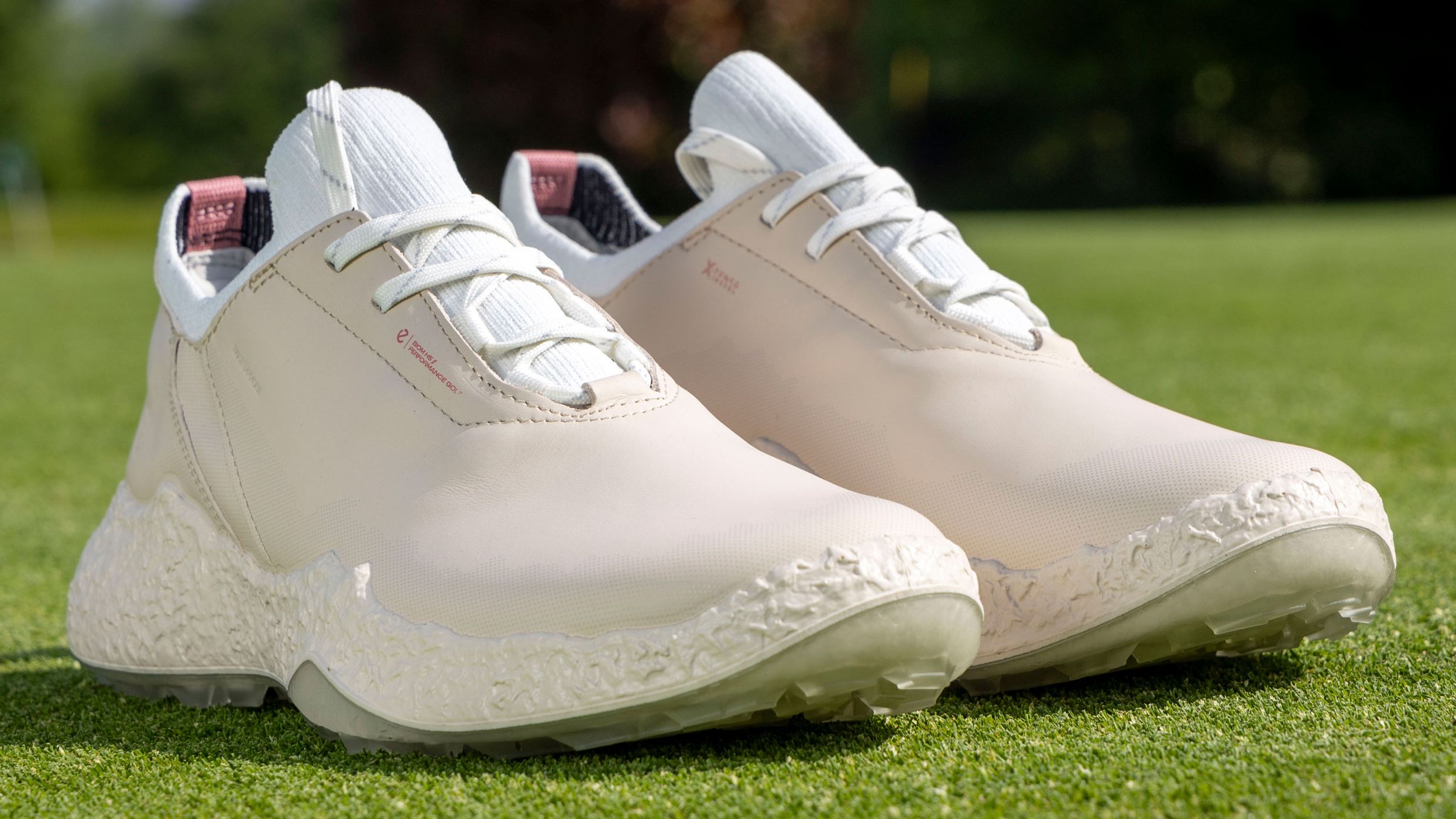 ECCO Golf Biom H5 Hybrid Women ホワイト ECCO W GOLF BIOM H5 HYBRID | White