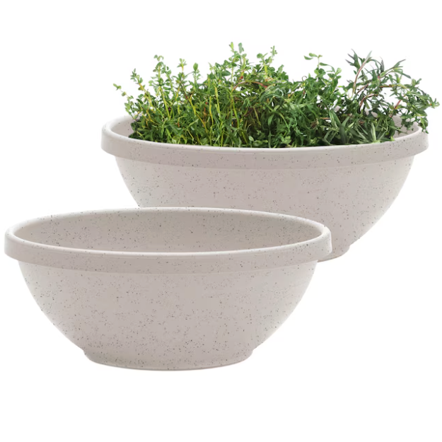 Bloem Terra Plastic Plant Bowl in Vanilla Bean