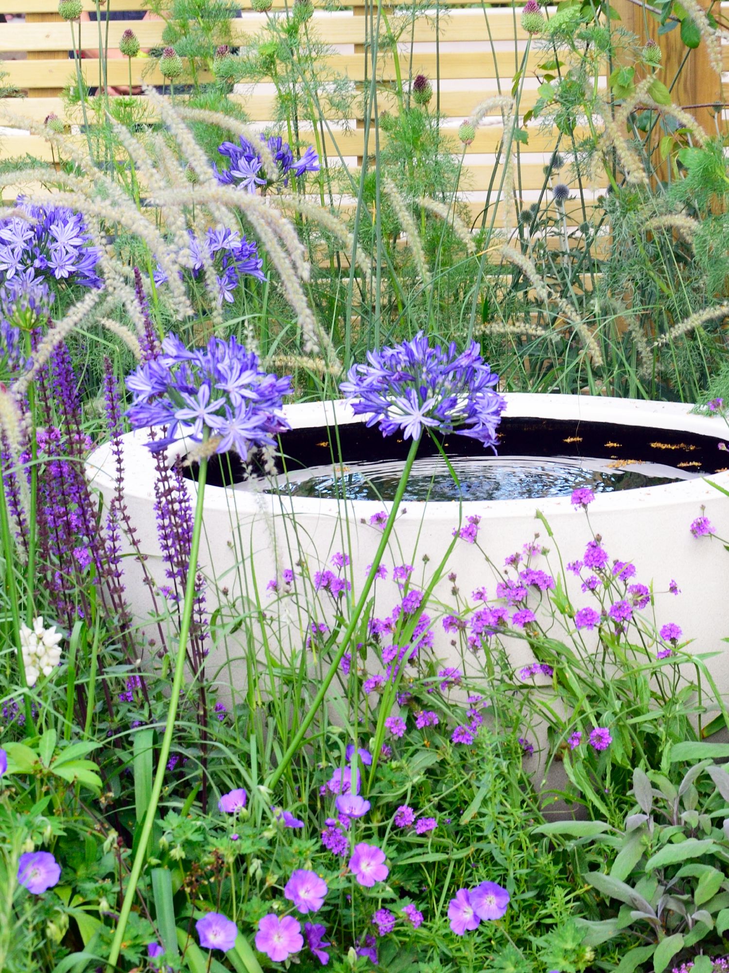 micropond or small pond in a container or water feature in a garden border of flowers
