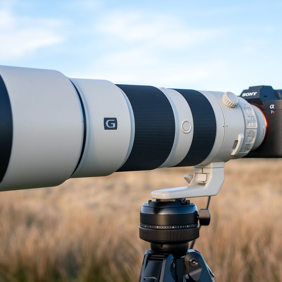 Sony FE 200-600 G OSS レンズ Sony FE 200-600mm f/5.6-6.3 G OSS review | Live Science