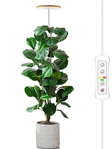 Plant Grow Light
