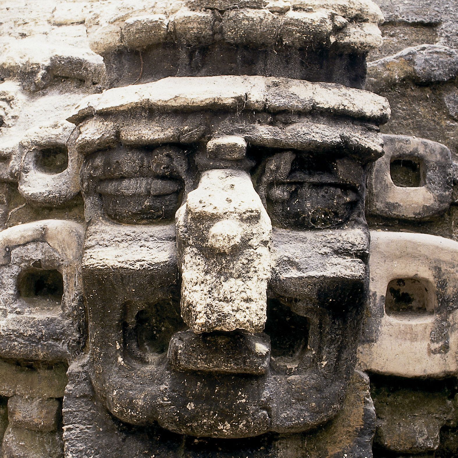 Mayan Priests Facts