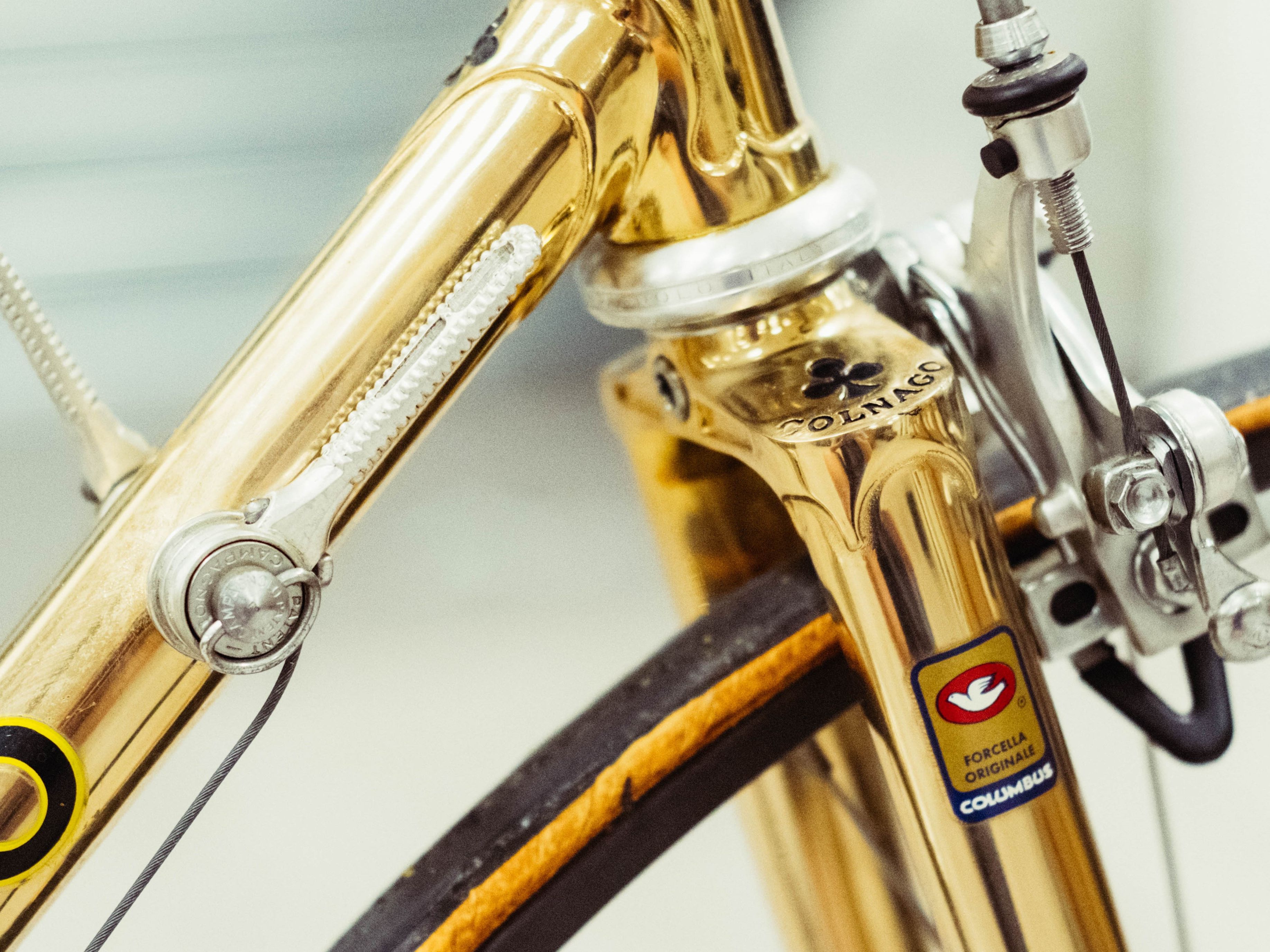 Colnago Monotitan Art Decor Titanium Road Bicycle 1997