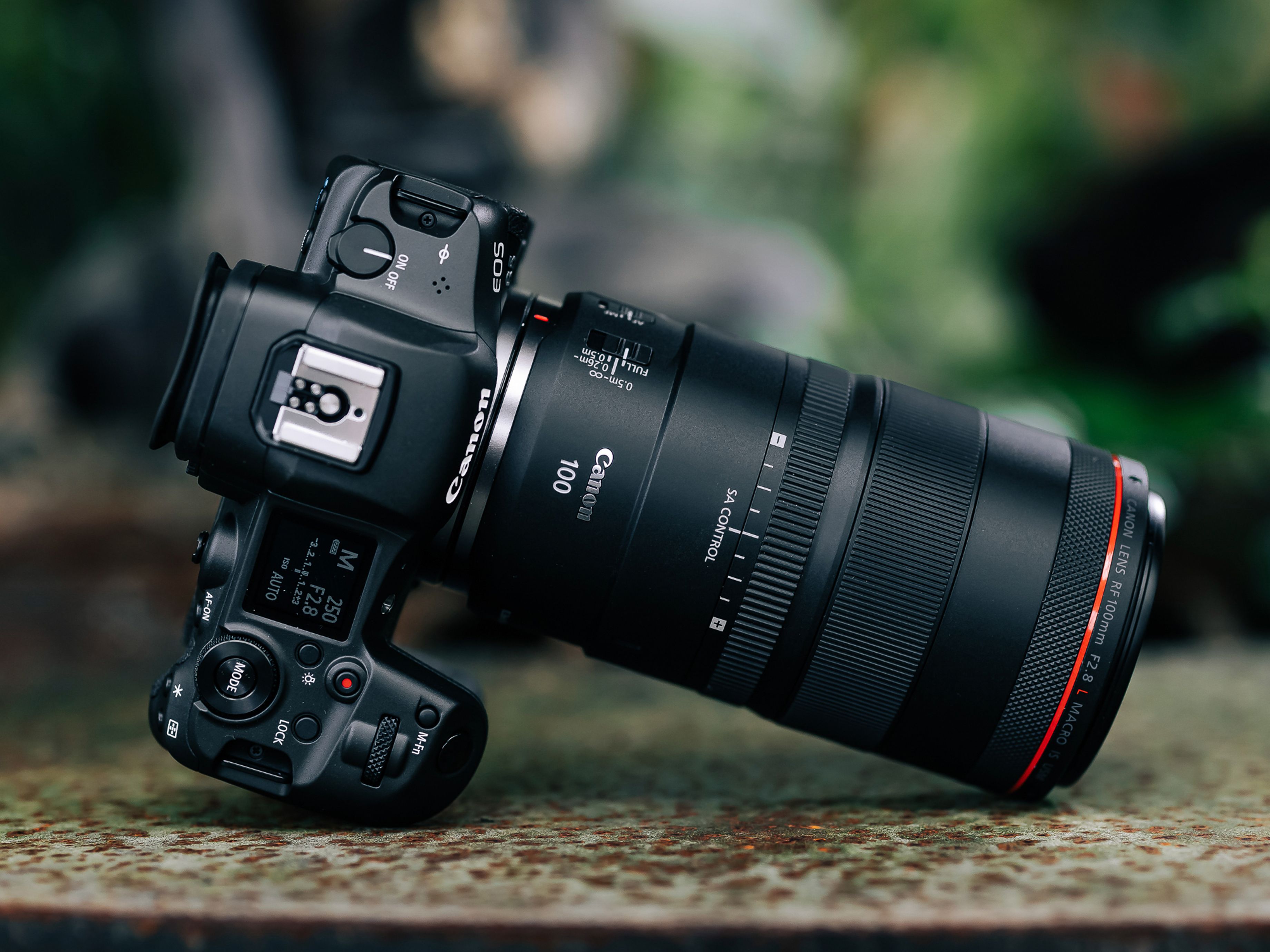 Canon Unveils RF100mm f/2.8 L Macro with Unique Bokeh