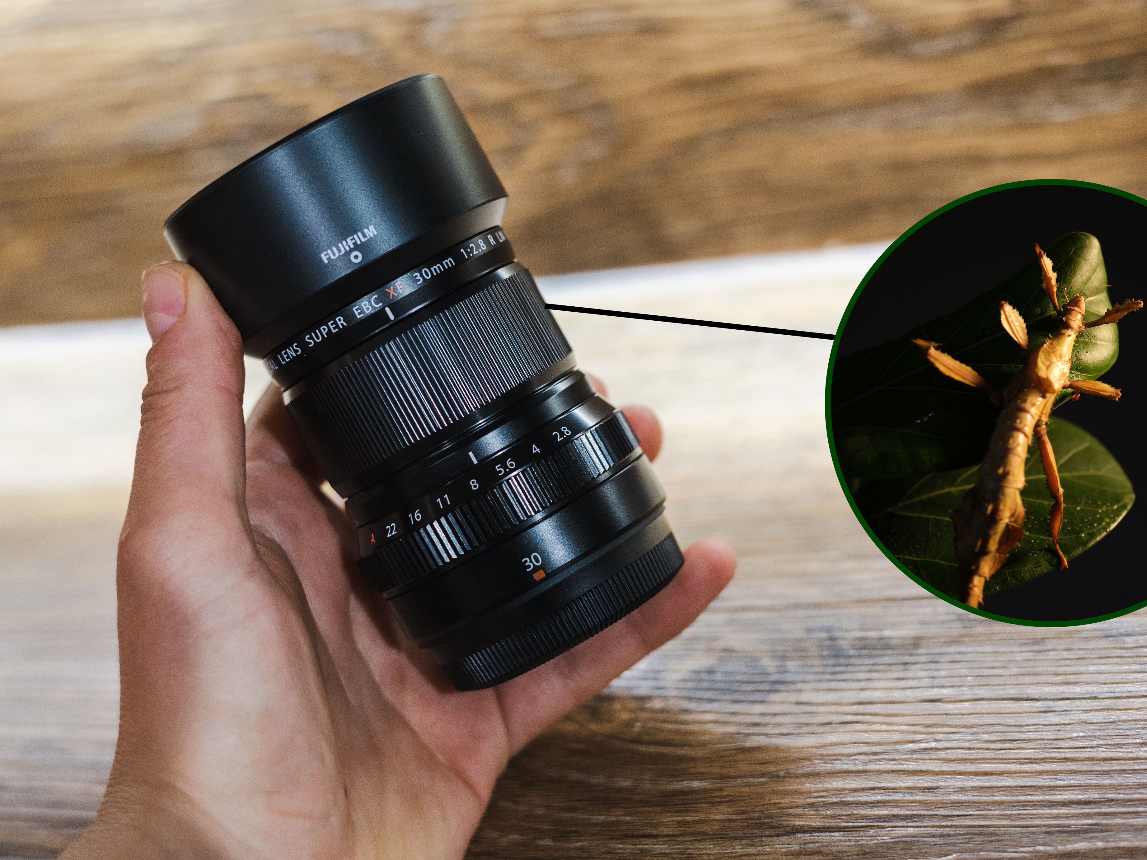 Fujifilm XF30mm f/2.8 R LM WR Macro hands-on review
