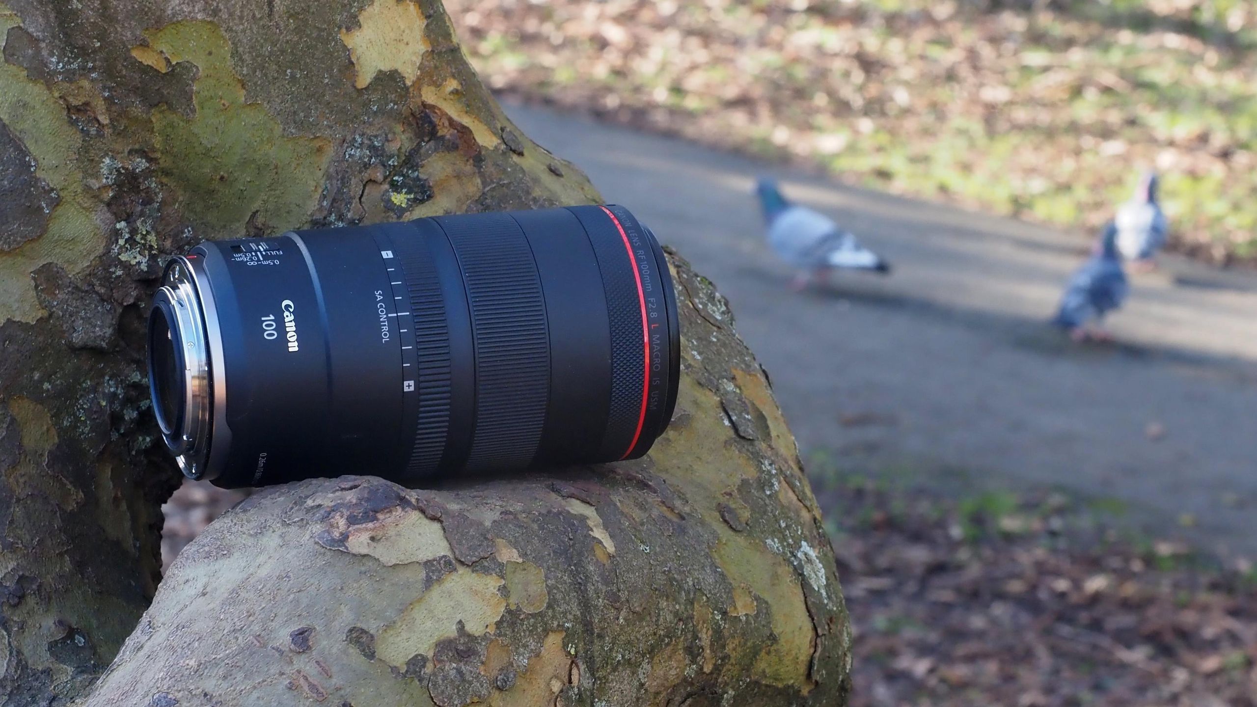 【はな】Canon RF 100mm F2.8 MACRO IS USM ADUGGMgorn72Sk6S9mUfw8.jpg
