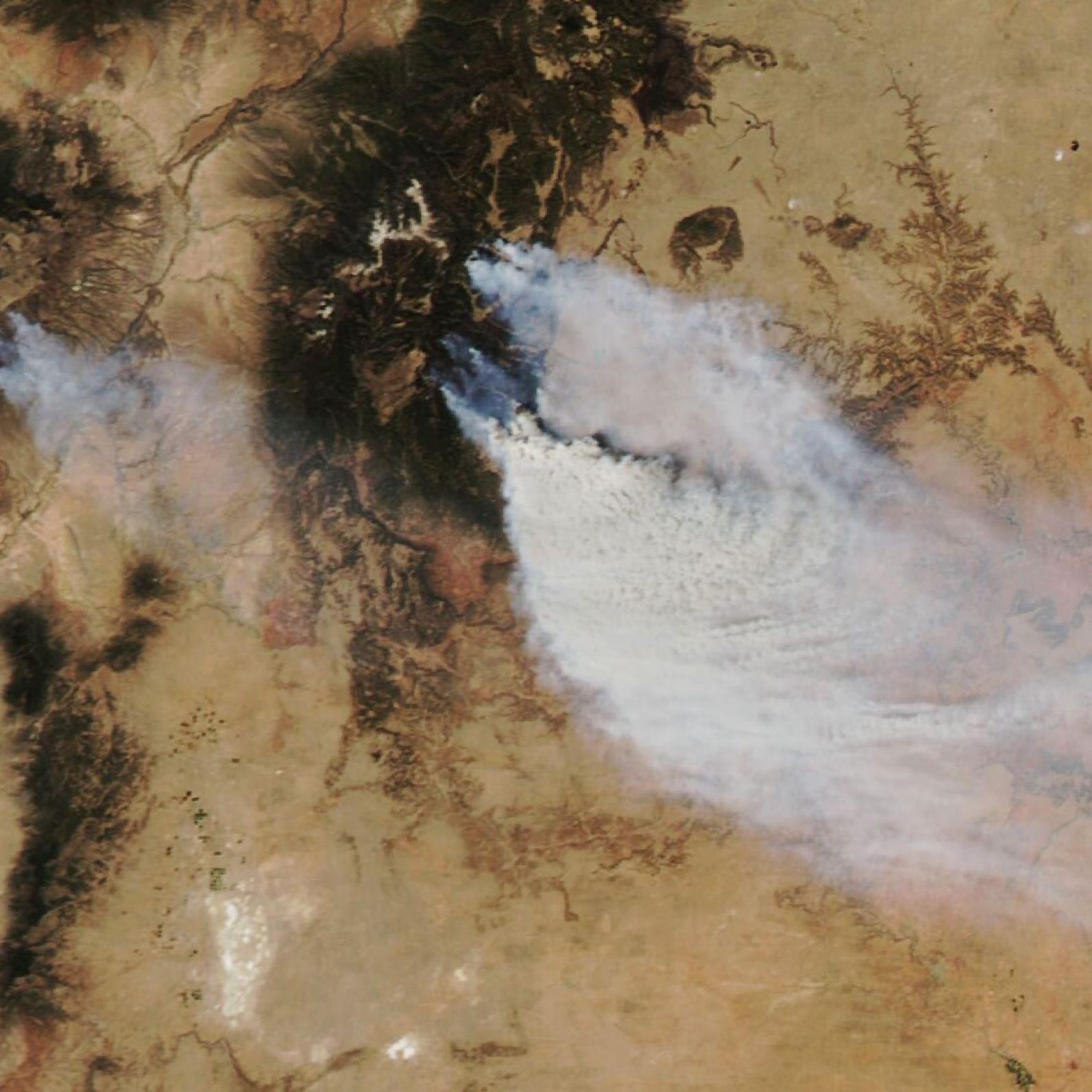 新品:SATELLITE FIRE BASE SATELLITE FIRE BASE | サテライトファイヤーベース | muraco(ムラコ