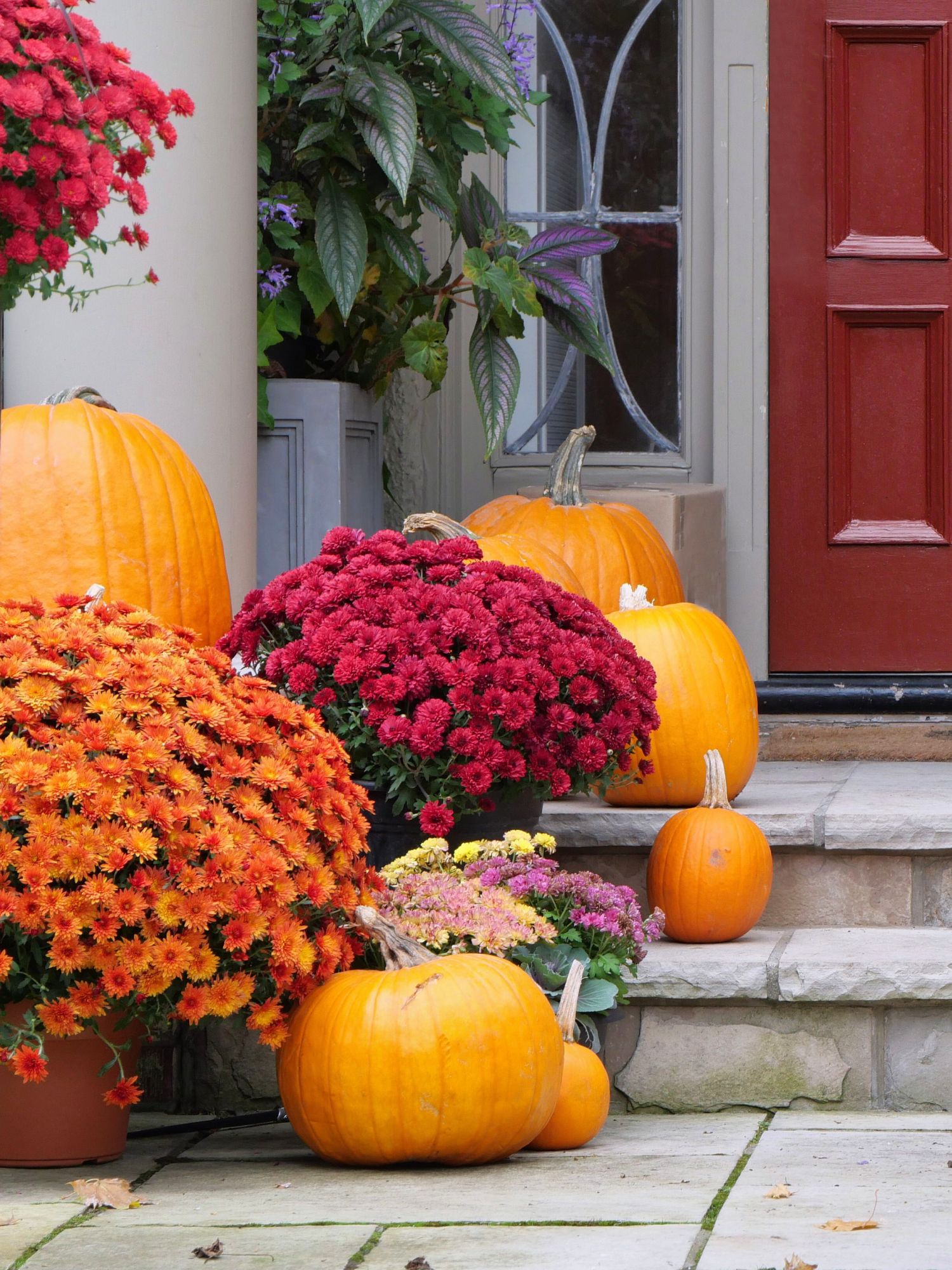 potted mums and pumpkins on front porch