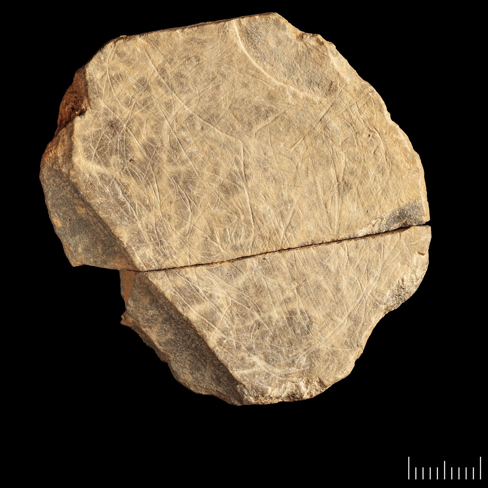 Britain's oldest artwork reveals mammoths from a drowned land | Live Science, image size:1638x1638