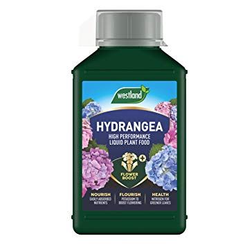 Westland Hydrangea High Performance Liquid Plant Food 1 Litre